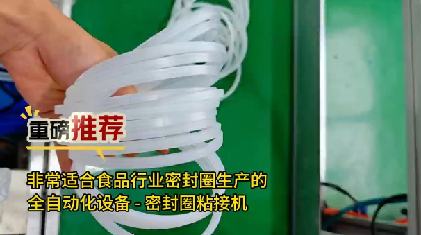 「視頻」重磅推薦！非常適合食品工業(yè)密封圈生產(chǎn)的全自動(dòng)化設(shè)備--密封圈粘接機(jī)